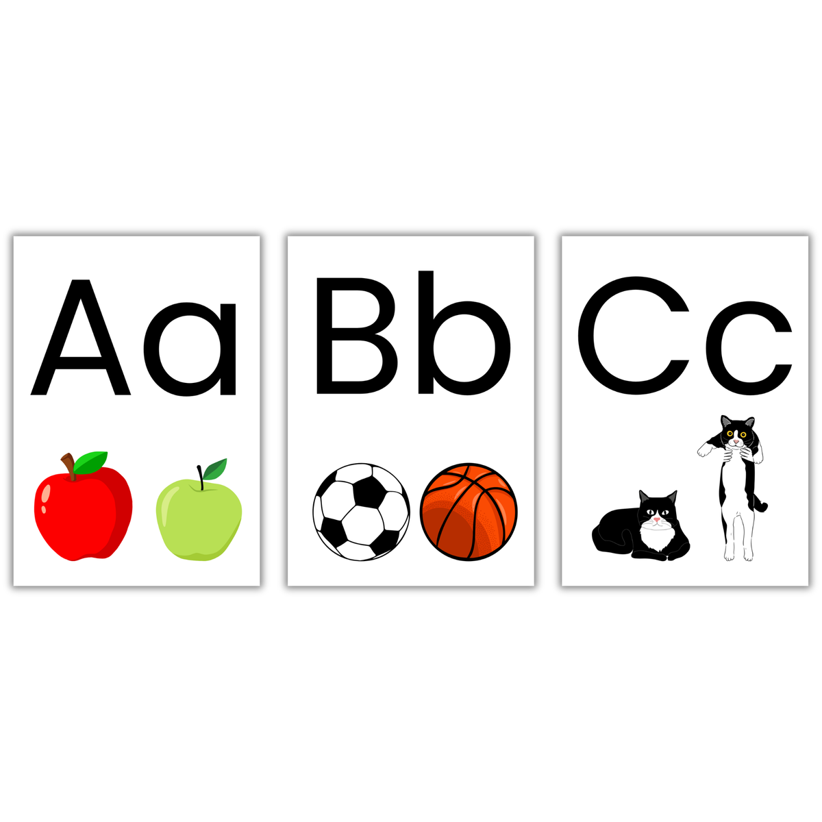 ABC Phonics Flashcards with Teaching Cues